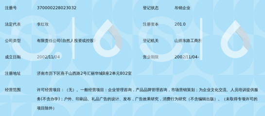 山东英菲领导力市场研究