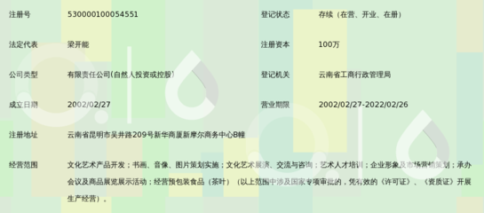 云南博艺文化